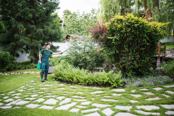 The Steps Involved in Our Tree Care Process in Kalispell, MT